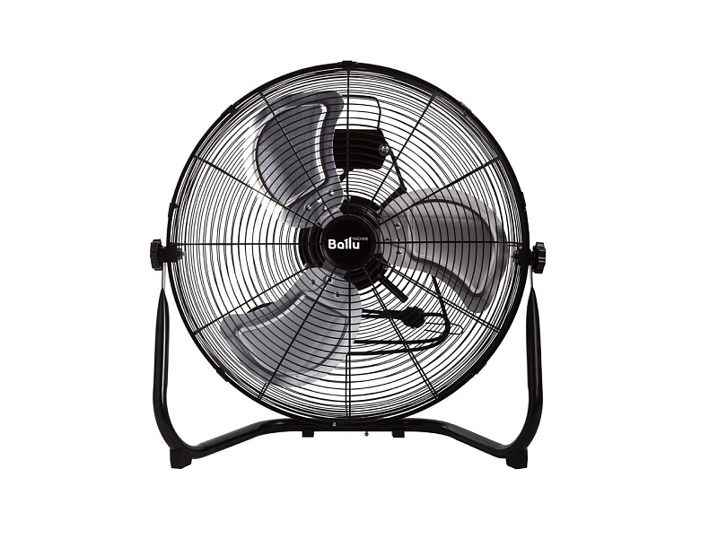 FAN