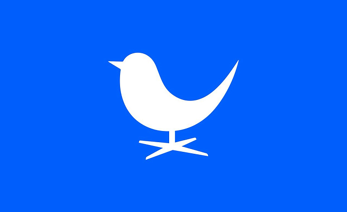 СИНЯЯ ПТИЦА