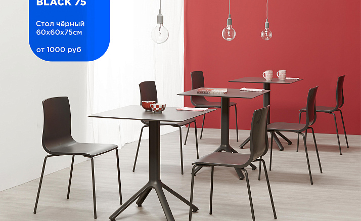 СИНЯЯ ПТИЦА