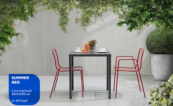 СИНЯЯ ПТИЦА